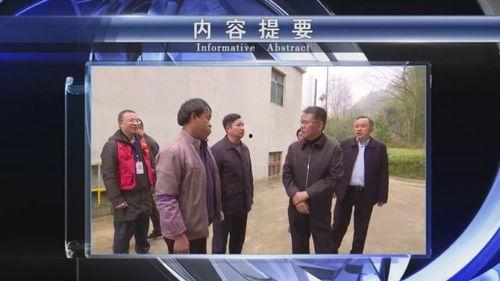 惠水新闻爆料,揭秘当地热点事件背后的真相 第2张 惠水新闻爆料,揭秘当地热点事件背后的真相 第2张