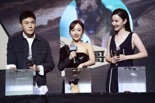 娱乐圈最新吃瓜爆料事件汇总,明星恋情、出轨、撕逼大揭秘！